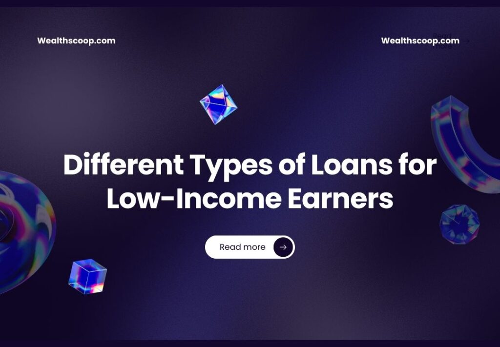 Different Types of Loans for Low-Income Earners Different Types of Loans for Low-Income Earners